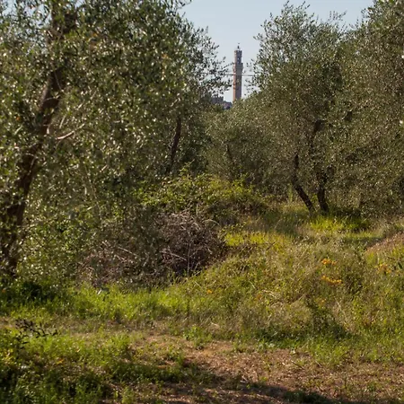 Podere Piazza Casa Dell'arcivescovo *