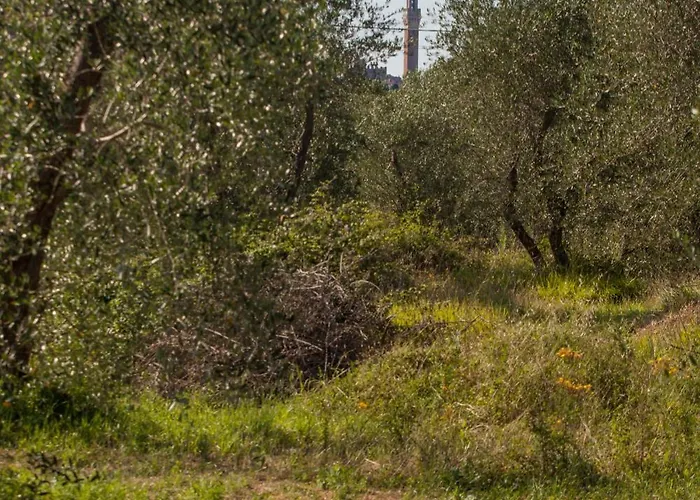 Podere Piazza Casa Dell'arcivescovo *